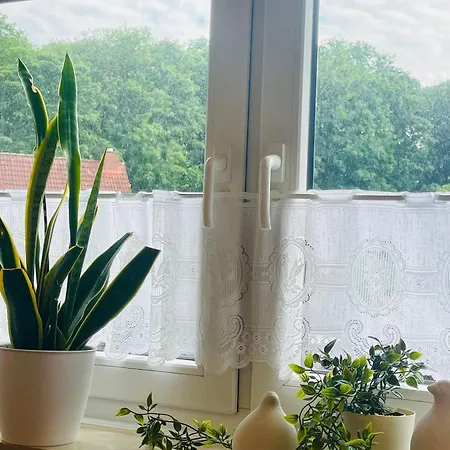 Stadtoase Am Julianenpark *