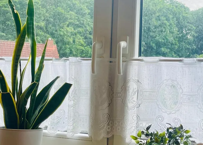 Stadtoase Am Julianenpark *